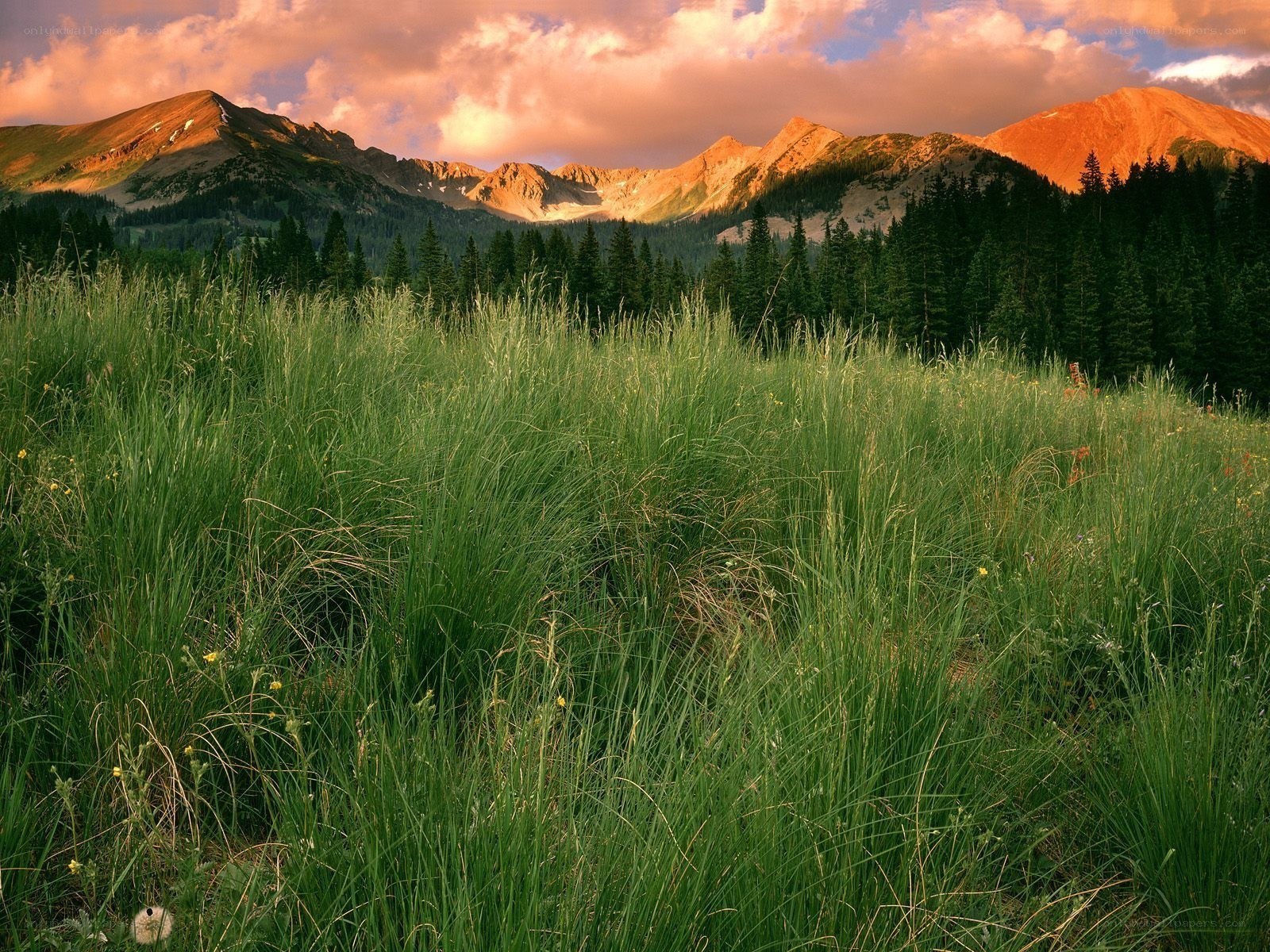 Mountain landscape at sunset