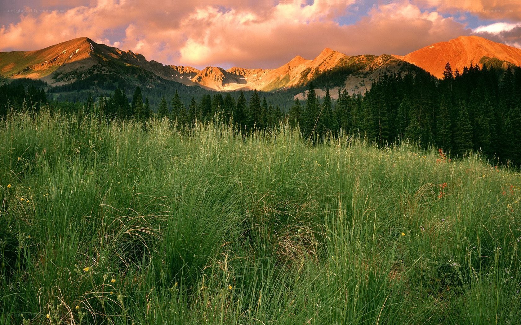 Mountain landscape at sunset
