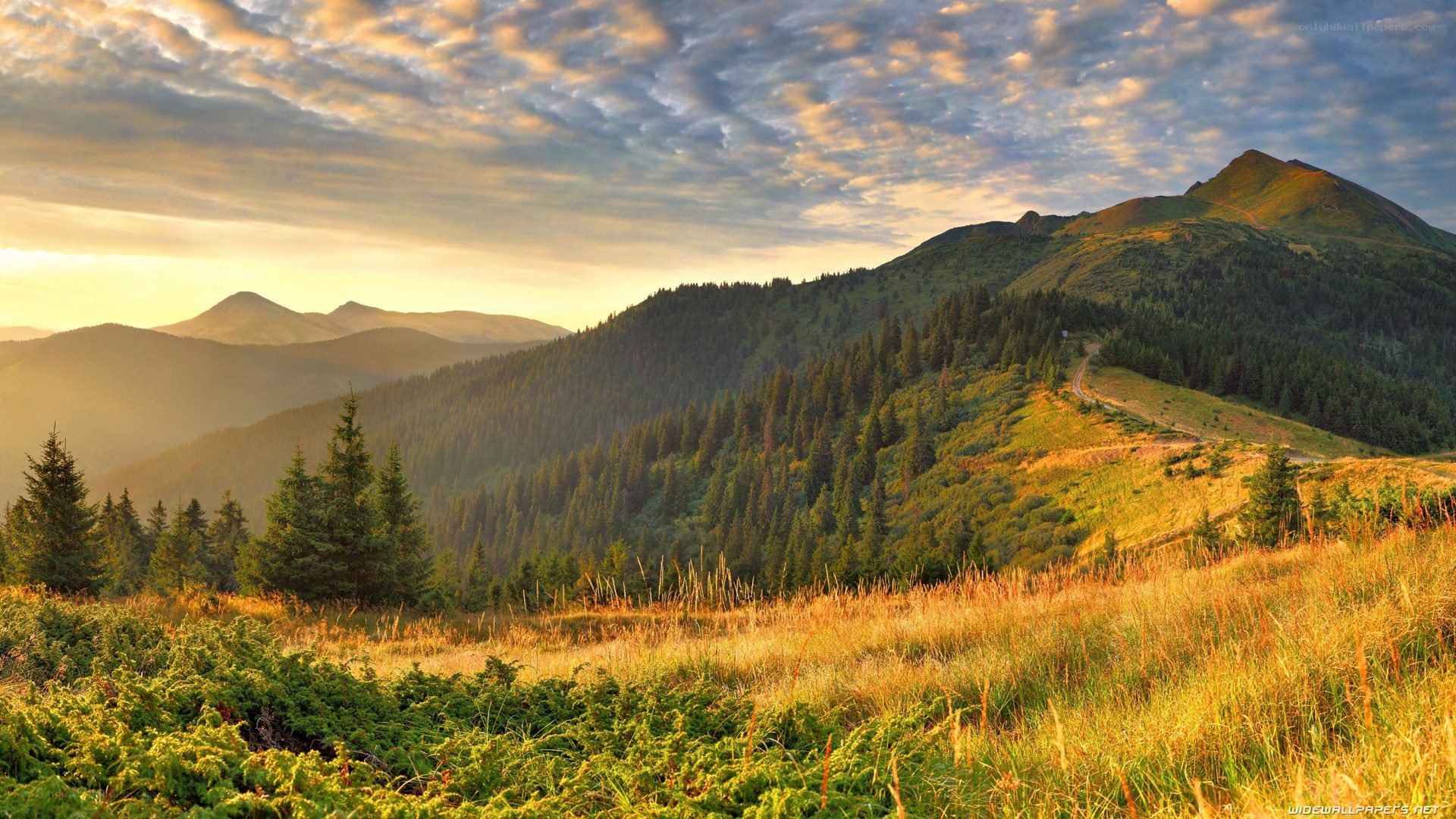 Mountain landscape at sunset