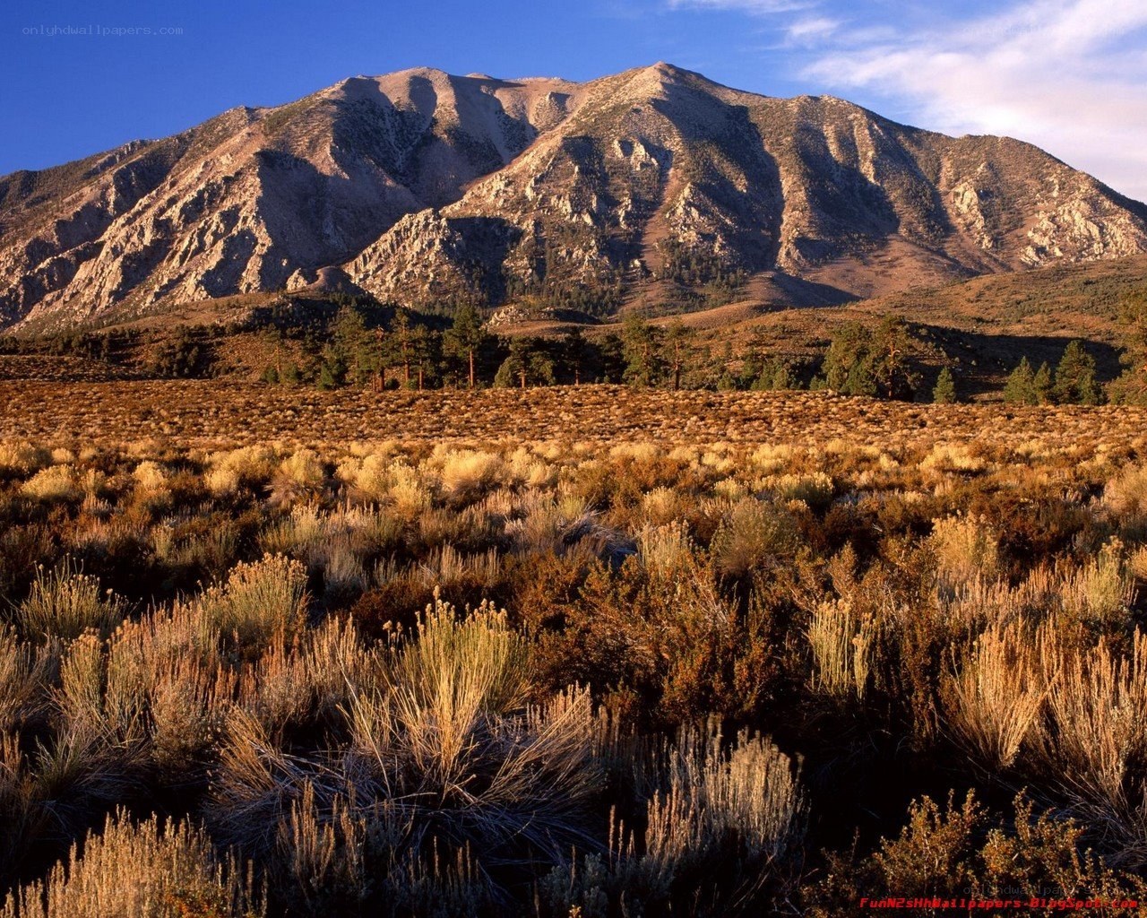 Mountain landscape at sunset