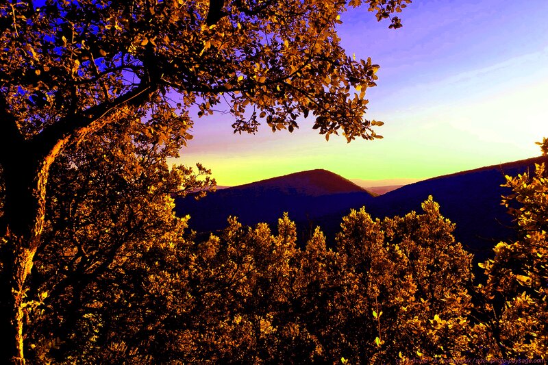 Mountain Landscape at Sunset — Gold, Serene, Photograph