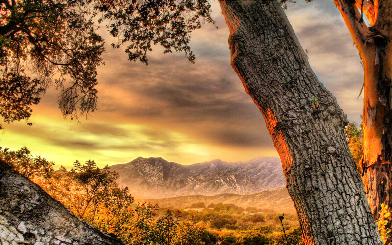 Mountain Landscape at Sunset — Orange, Dramatic, Photograph, Trees