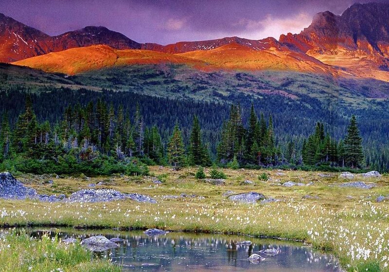Mountain Landscape at Sunset — Purple, Dramatic, Photograph, Trees, Pond