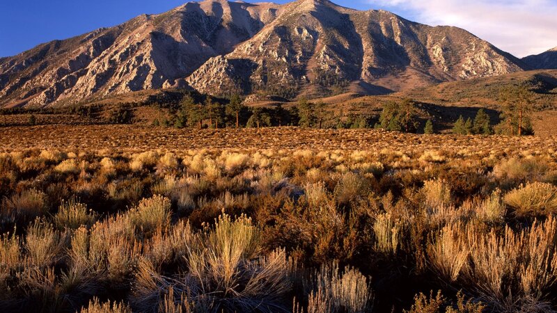 Mountain Landscape — Brown, Serene, Sunset, Photograph, Shrub