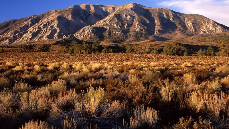 Mountain Landscape — Brown, Serene, Sunset, Photograph, Shrubs