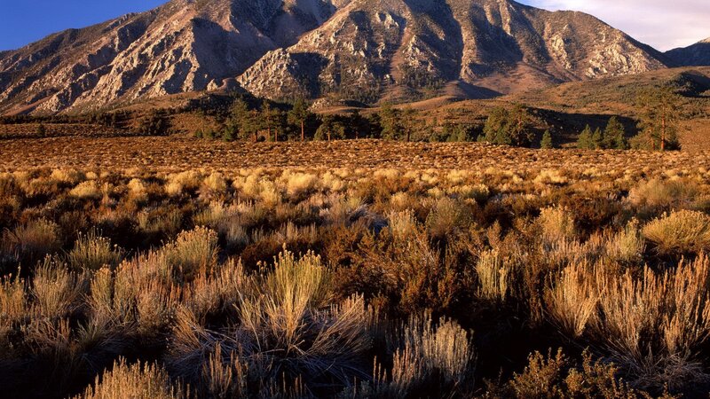 Mountain Landscape — Brown, Serene, Sunset, Photograph