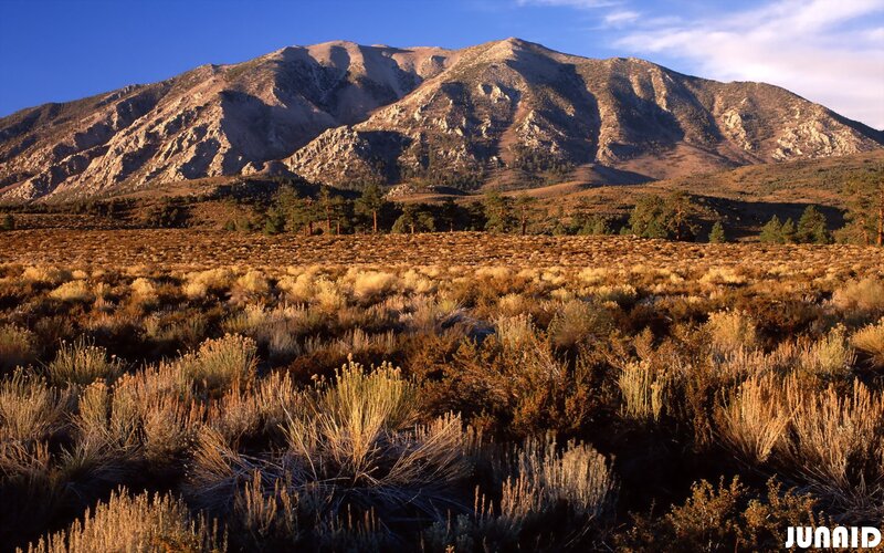 Mountain Landscape — Brown, Serene, Sunset
