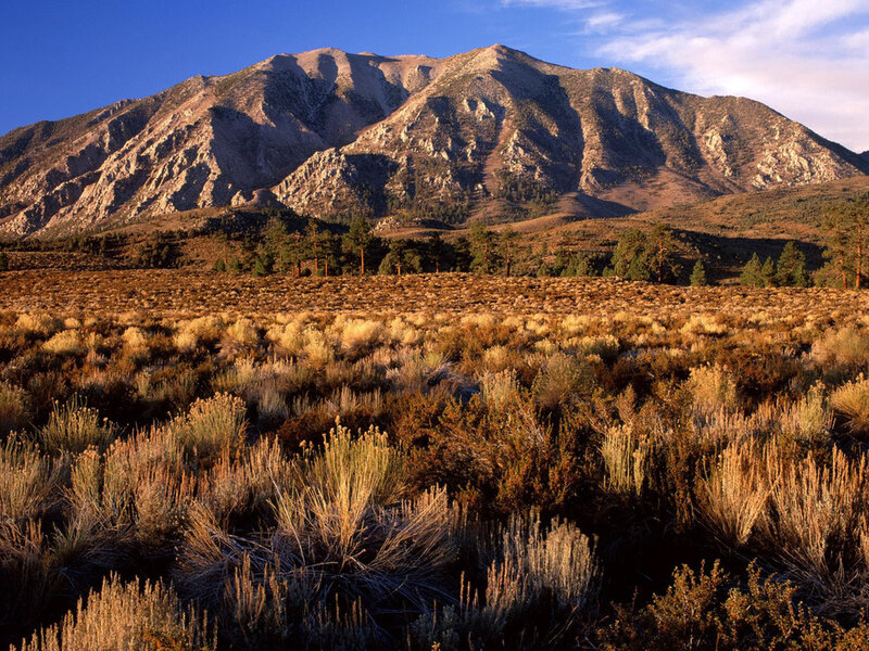 Mountain Landscape — Brown, Serene