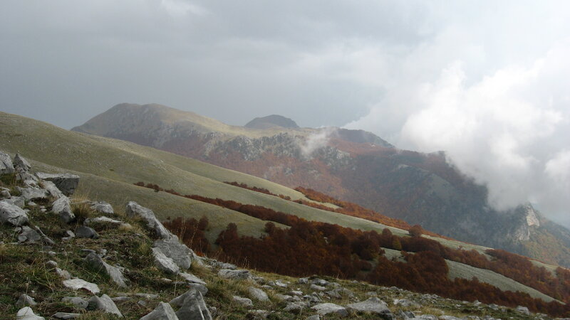 Mountain Landscape — Green, Overcast, Autumn