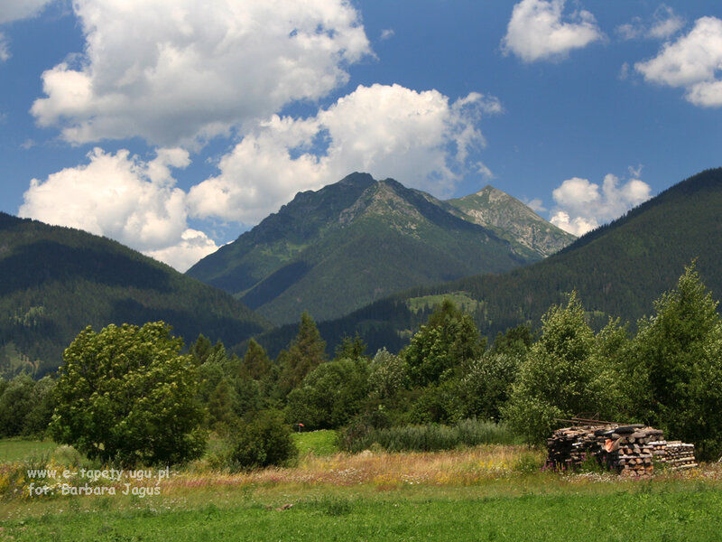Mountain Landscape — Green, Serene, Afternoon, Photograph