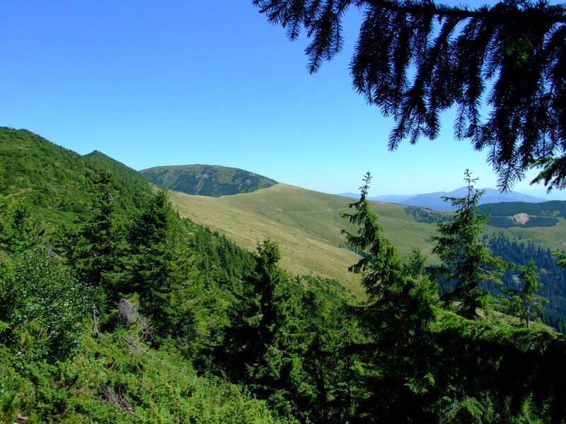Mountain Landscape — Green, Serene, Afternoon, Photograph, Trees