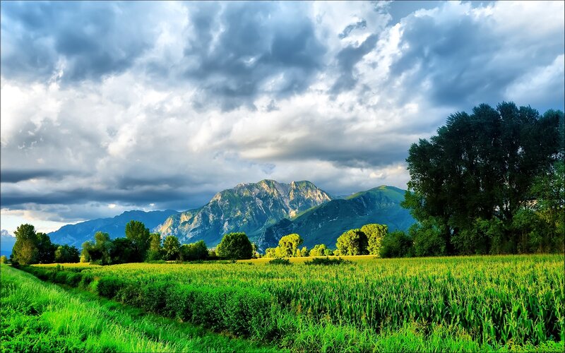 Mountain Landscape — Green