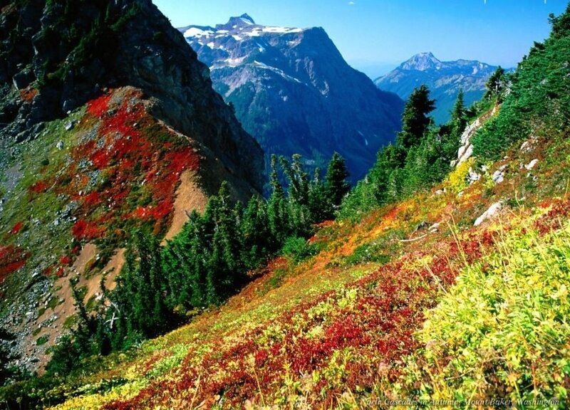 Mountain Landscape in Autumn — Green