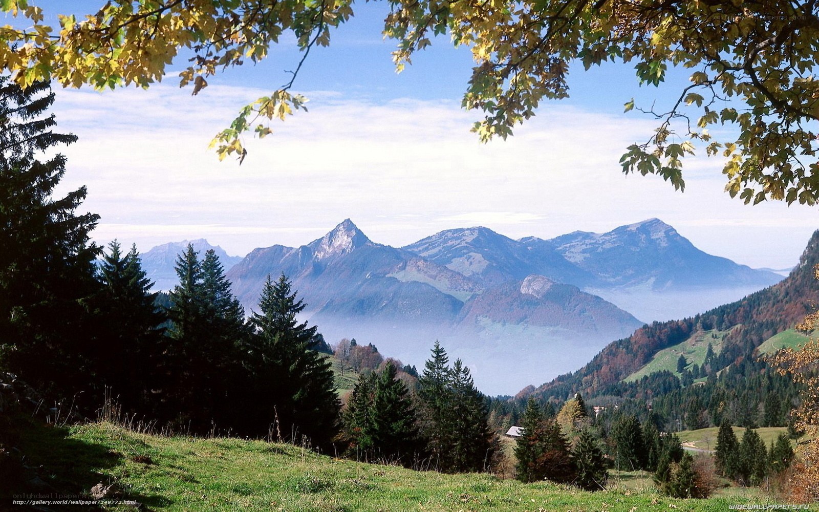 Mountain landscape in autumn