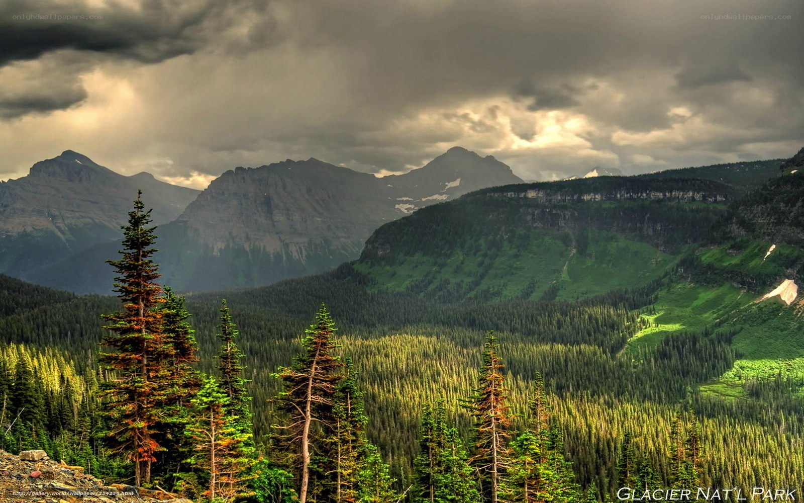 Mountain landscape in Glacier National Park