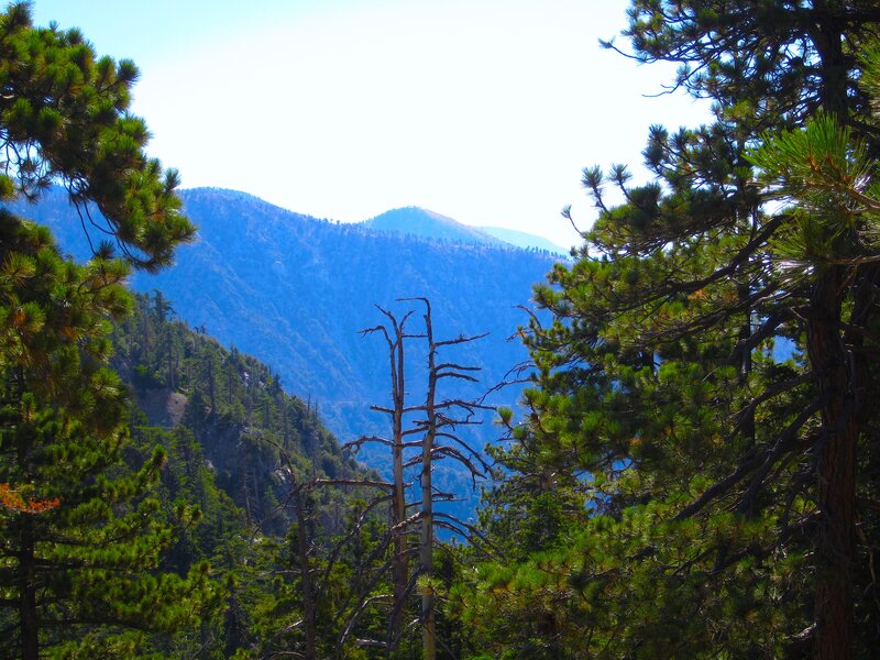 Mountain Landscape View — Green, Serene