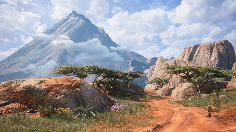 Mountain Landscape with Acacia Trees