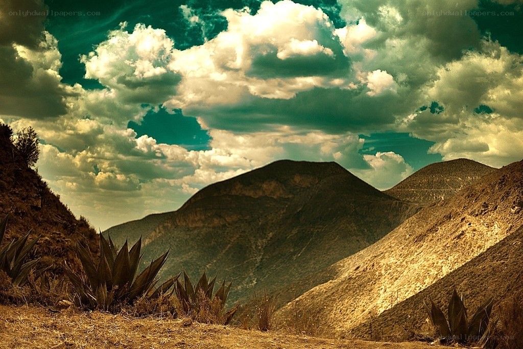 mountain landscape with agave plants