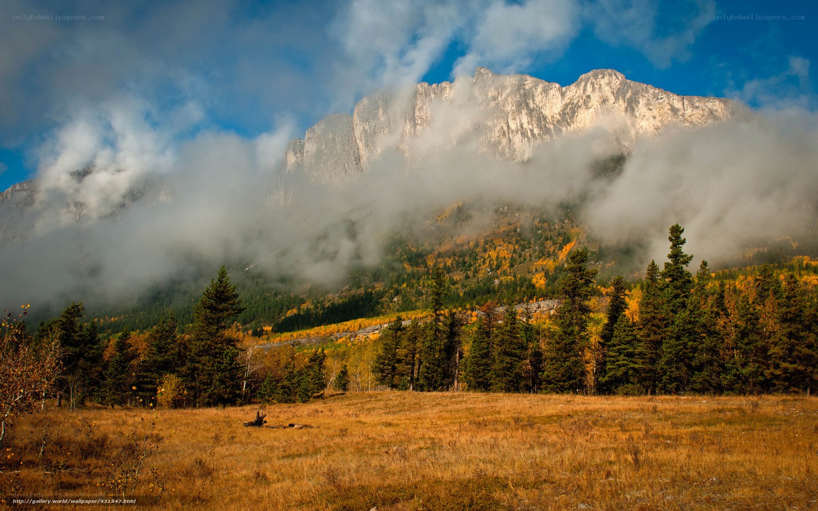 Mountain landscape with autumn colors