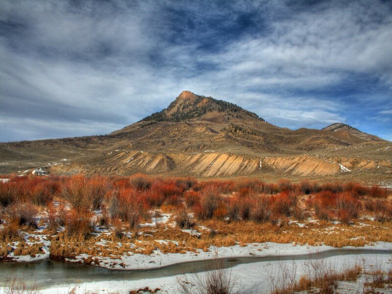 Mountain landscape with autumn shrubs