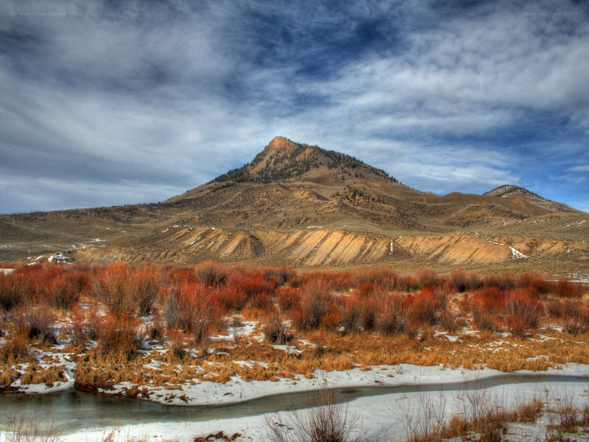 Mountain landscape with autumn shrubs