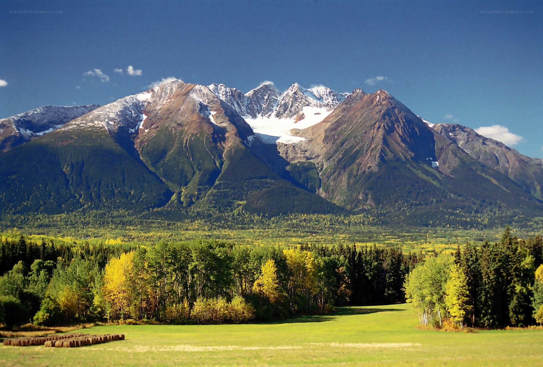 Mountain landscape with autumn trees