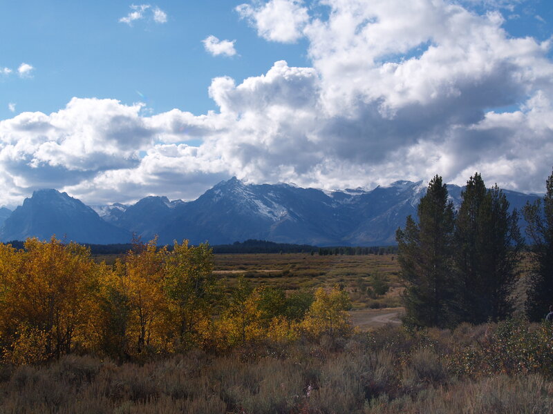 mountain landscape with autumn trees