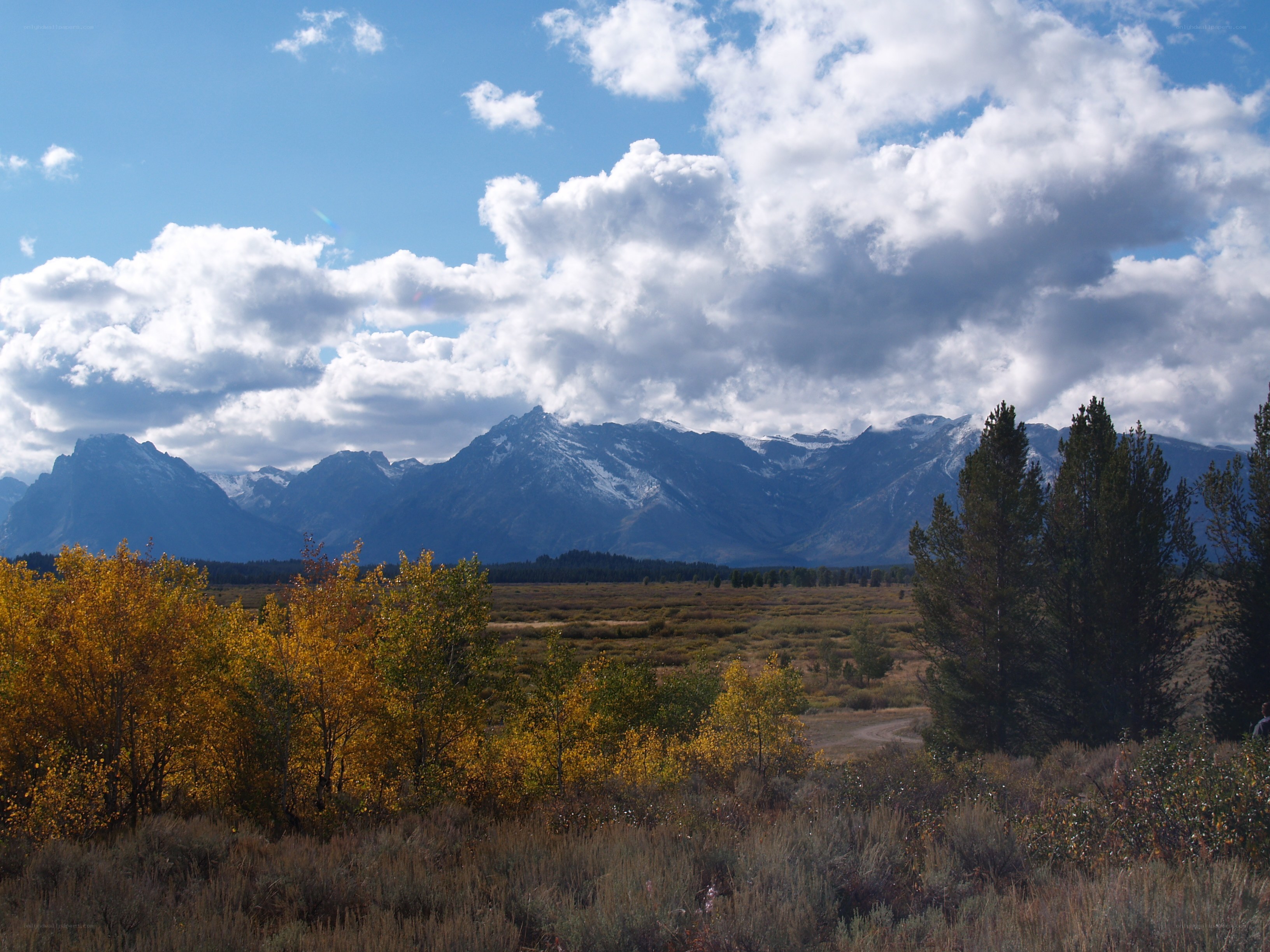 mountain landscape with autumn trees