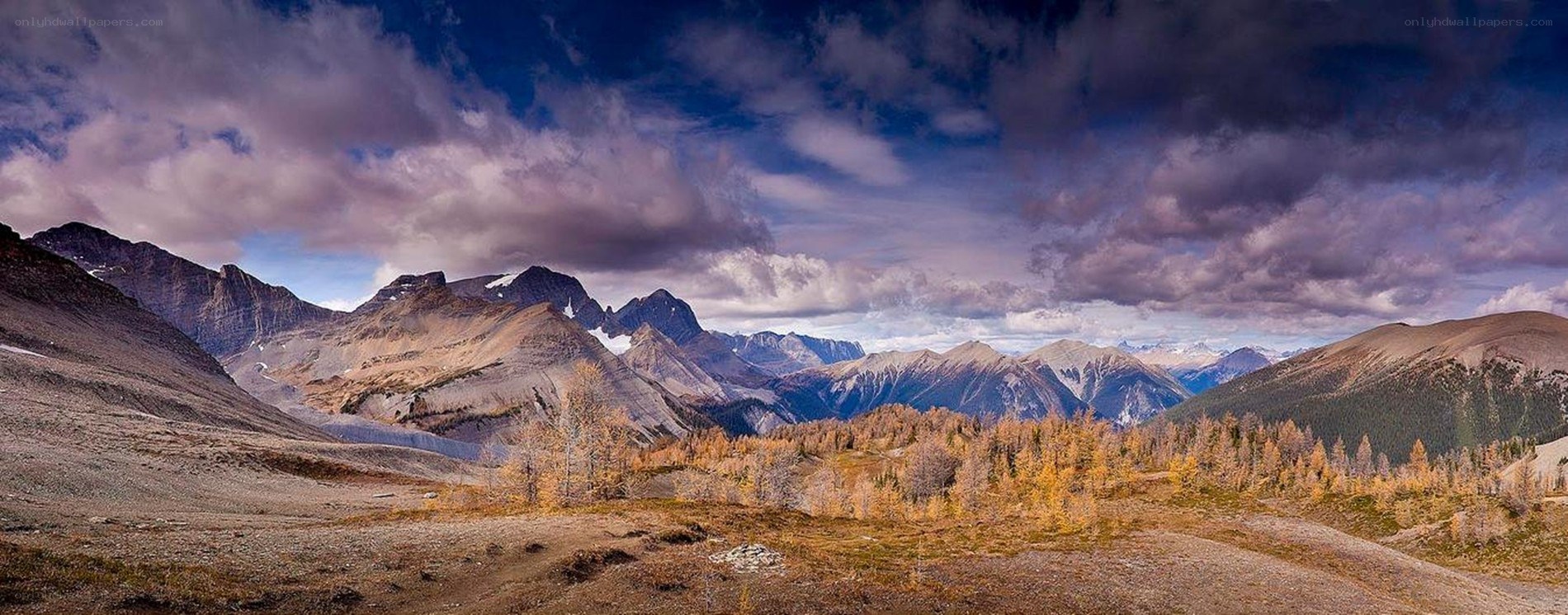 Mountain landscape with autumn trees