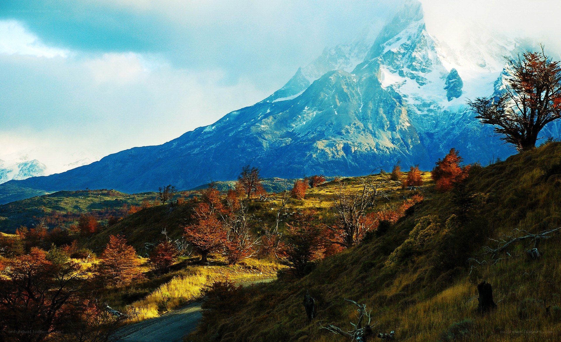 Mountain landscape with autumn trees