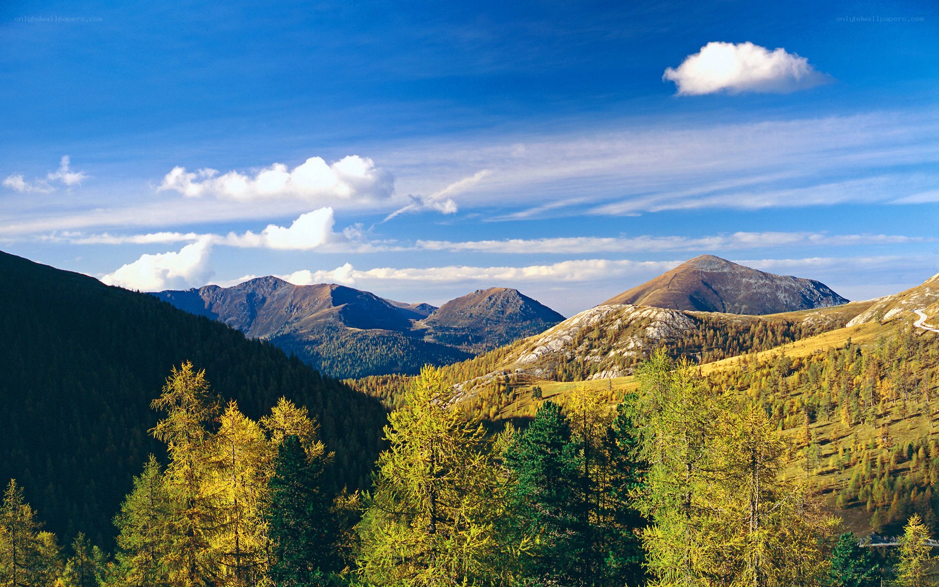 Mountain landscape with autumn trees