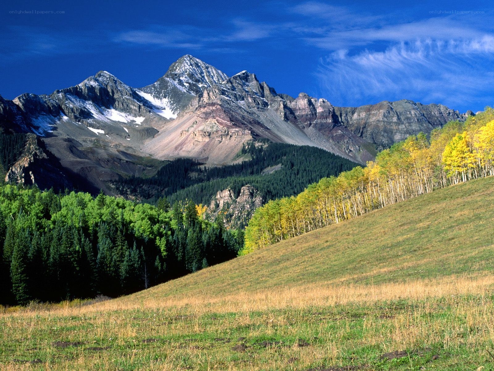 Mountain landscape with autumn trees
