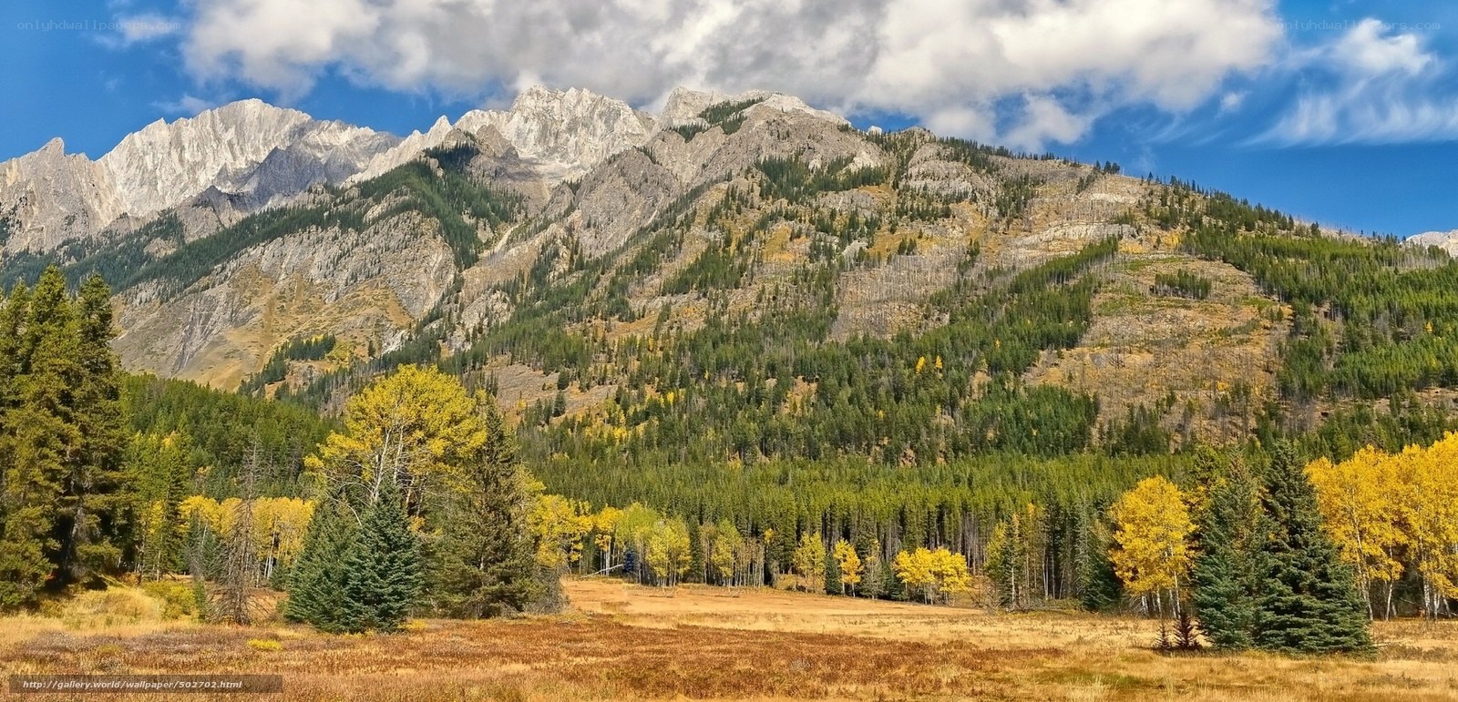 Mountain landscape with autumn trees