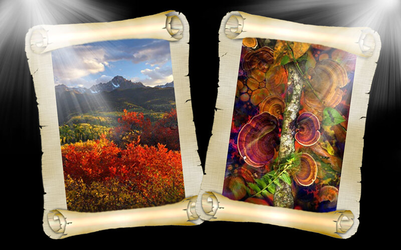 Mountain Landscape with Autumn Trees — Red, Serene