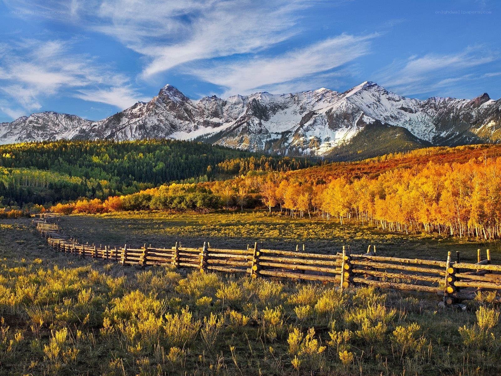 Mountain landscape with autumn trees