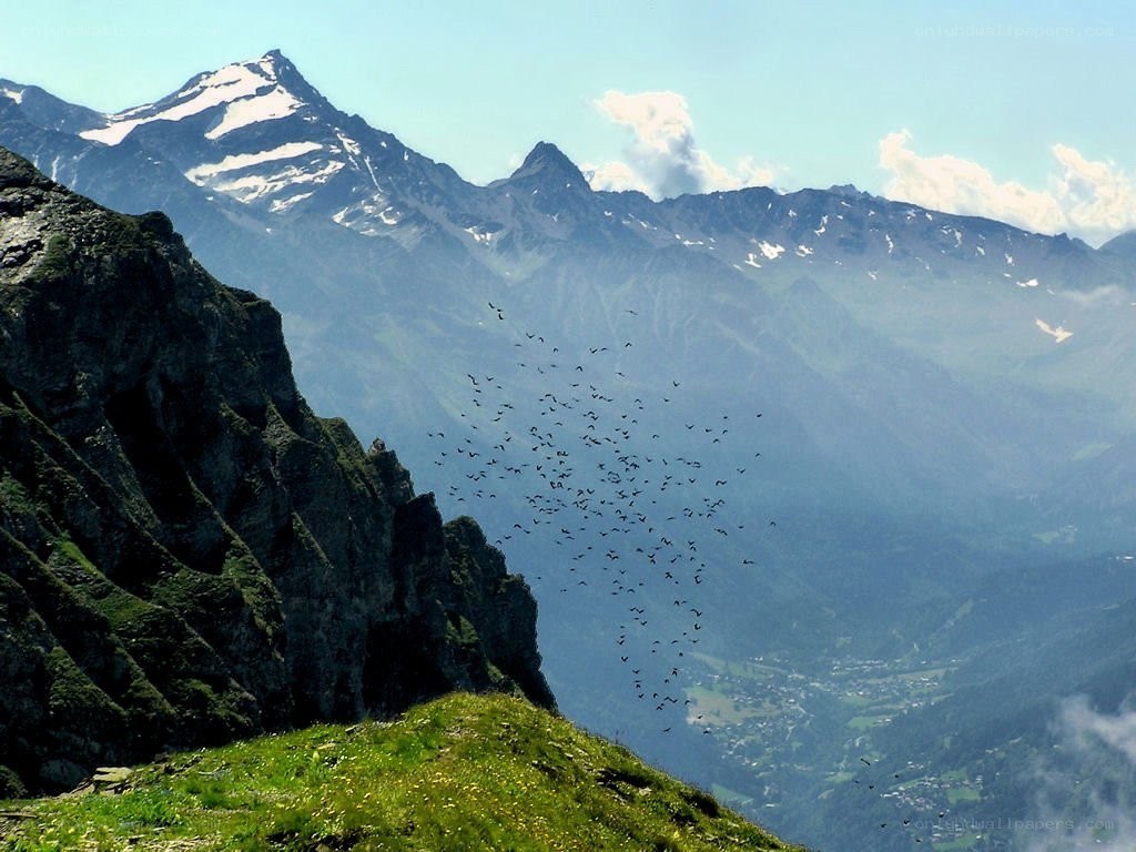 Mountain landscape with birds