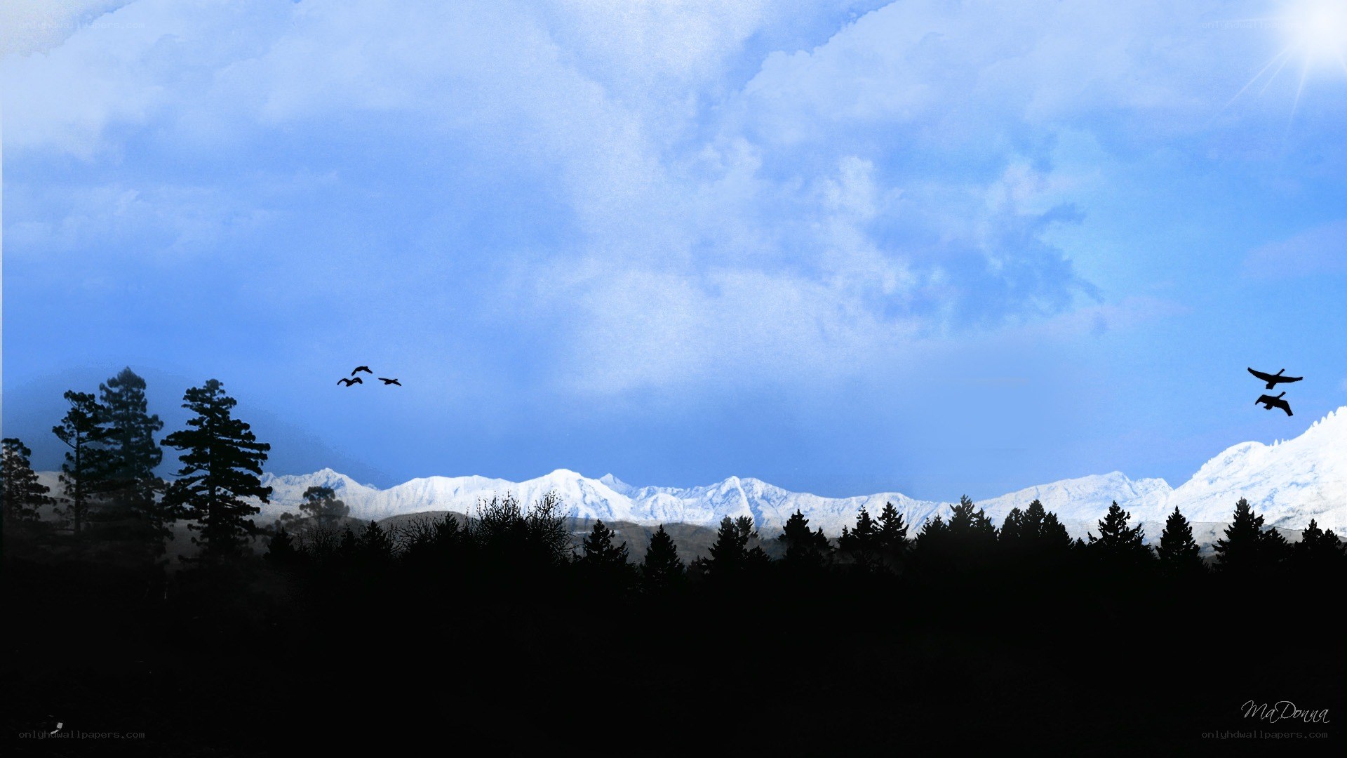 Mountain landscape with birds