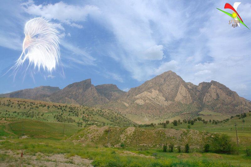 Mountain landscape with eagle
