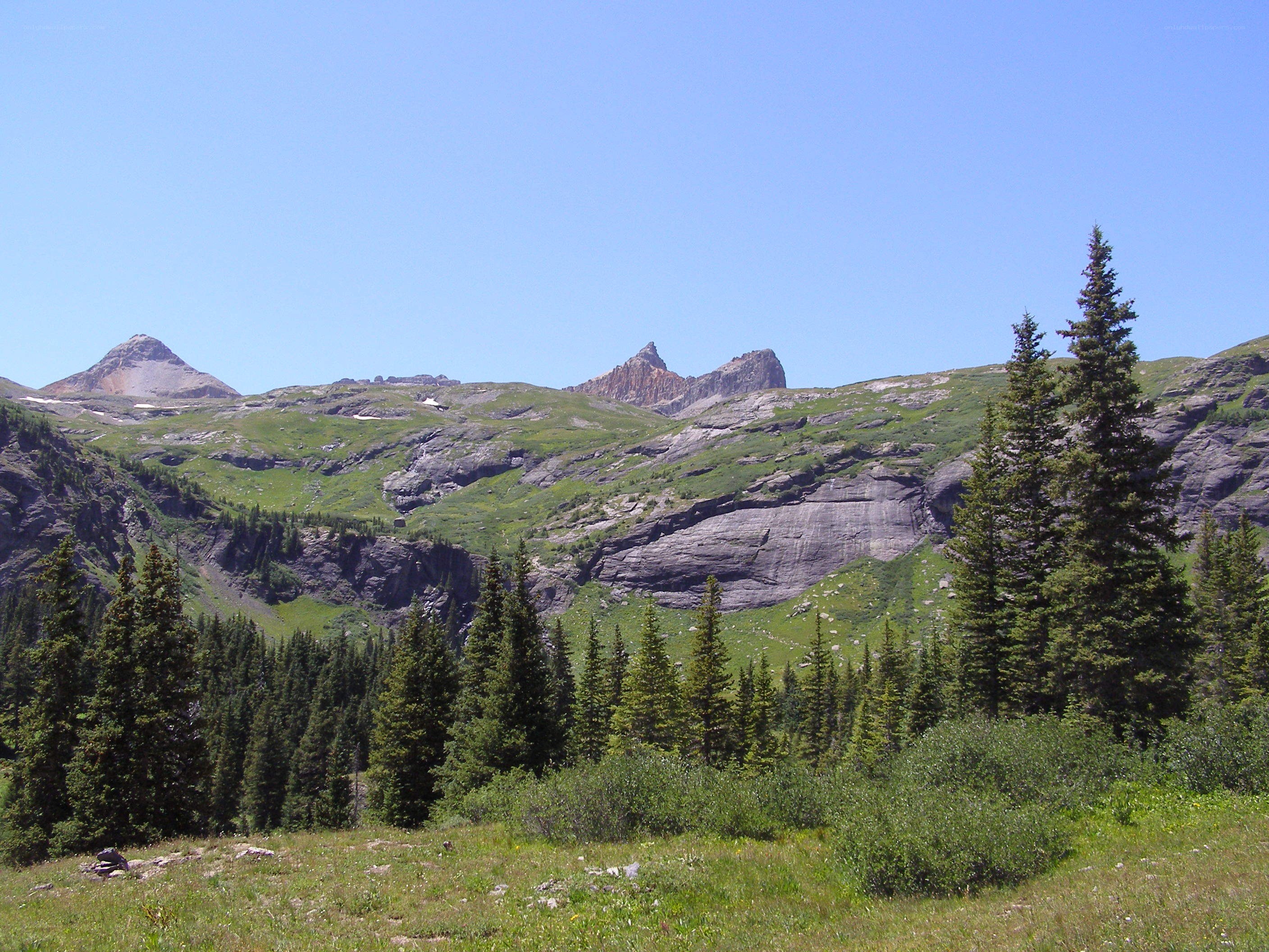mountain landscape with evergreens