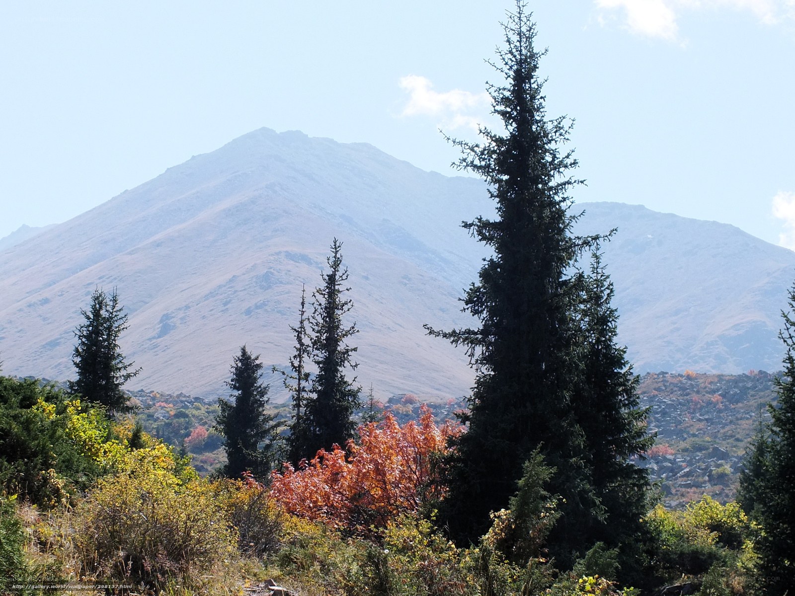 Mountain landscape with evergreens