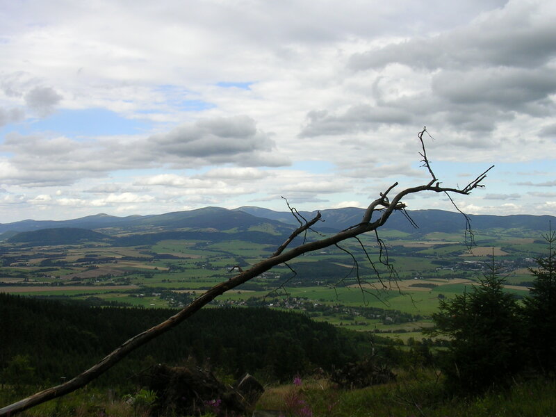 Mountain landscape with fallen tree
