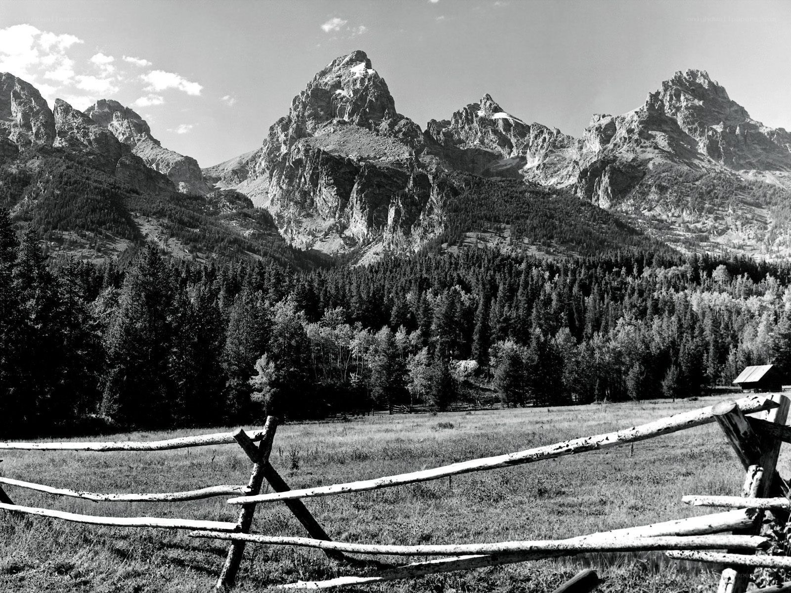 Mountain landscape with fence