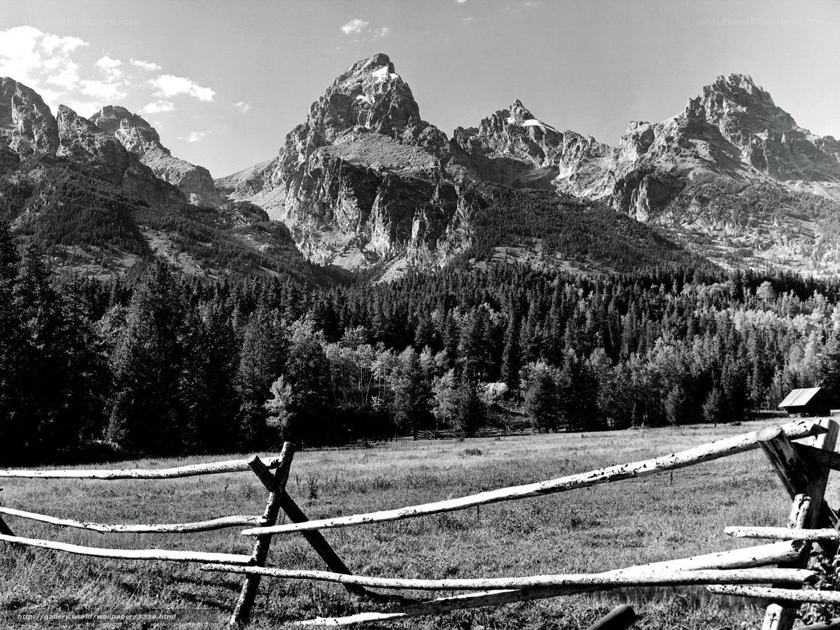 Mountain landscape with fence