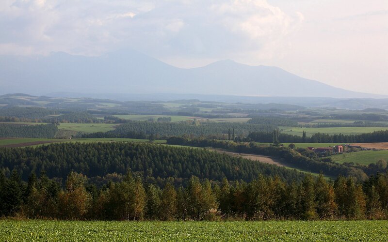 Mountain landscape with fields