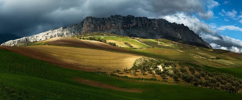 Mountain landscape with fields