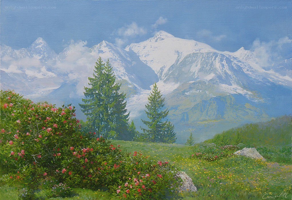 Mountain landscape with flowers