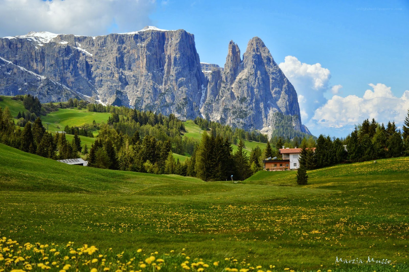 Mountain landscape with flowers