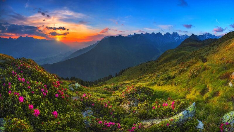 Mountain Landscape with Flowers — Blue, Serene
