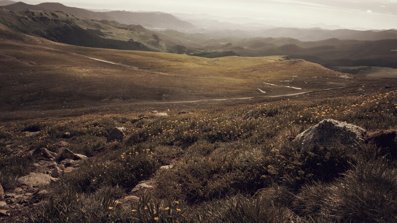 Mountain Landscape with Flowers — Brown