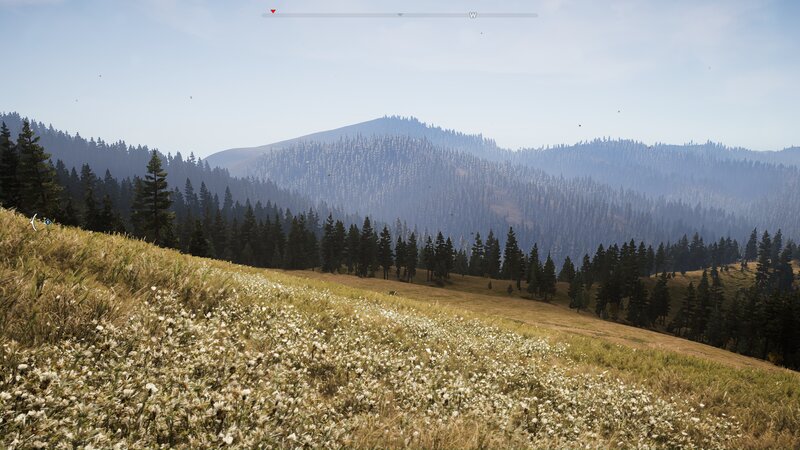 Mountain Landscape with Flowers — Green, Serene, Afternoon, 3d Render